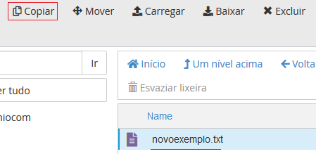 Selecione o arquivo e clique em copiar.
