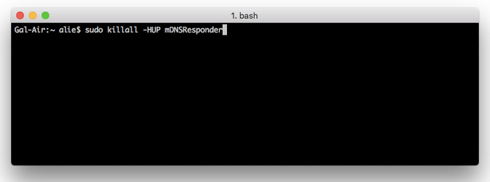 sudo killall -HUP mDNSResponder