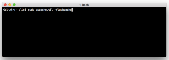 sudo dscacheutil -flushcache
