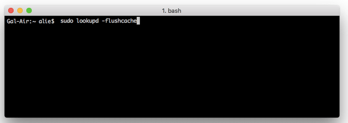 sudo lookupd -flushcache