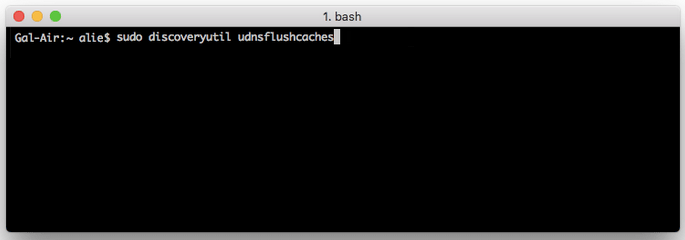 sudo discoveryutil udnsflushcaches